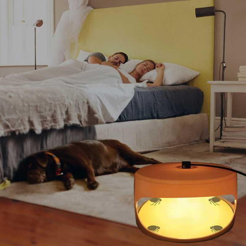 Indoor Bed Bug Trap