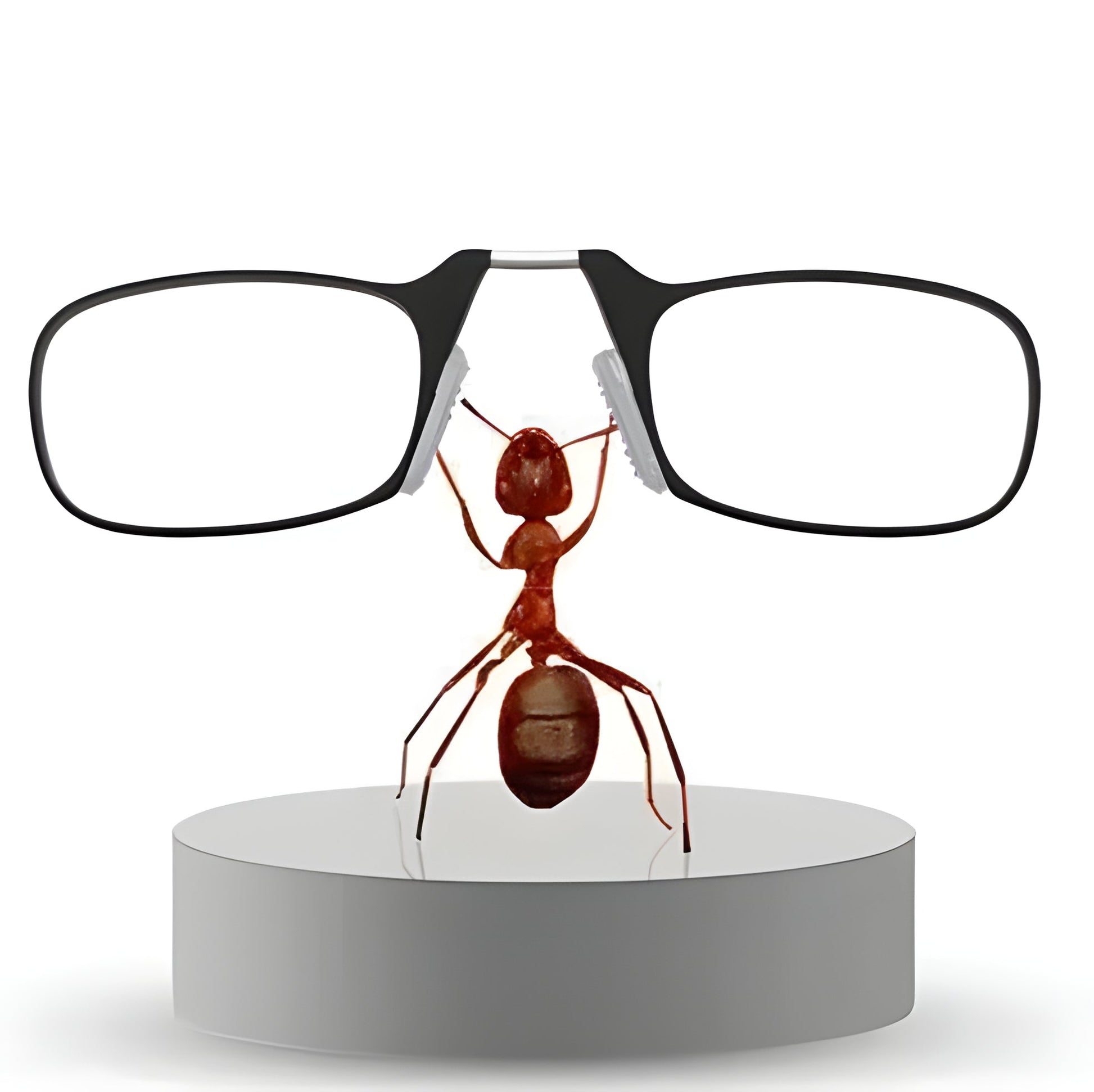 Foldable & Functional Glasses