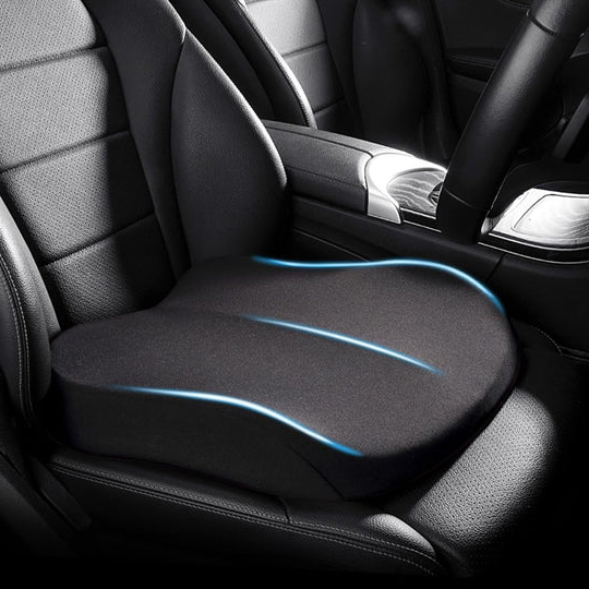 Adult Car Seat Booster